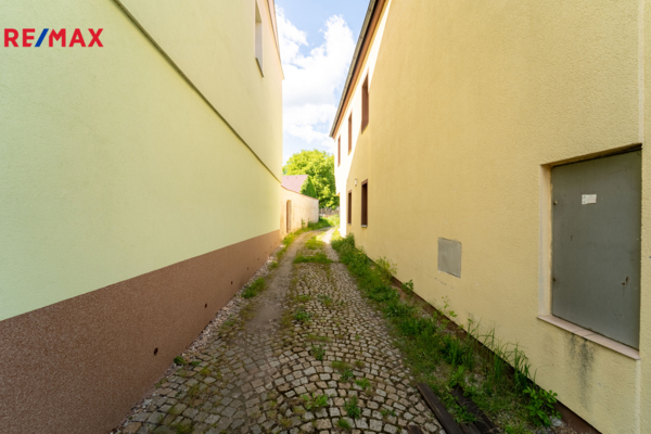 2816983.jpg