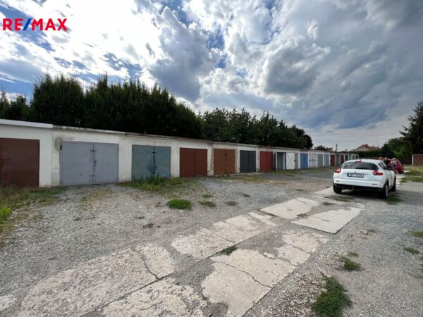 REMAX Delux