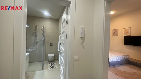REMAX Delux