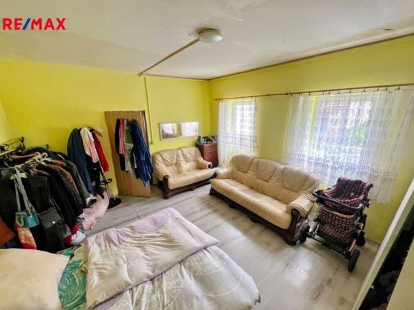 REMAX Delux
