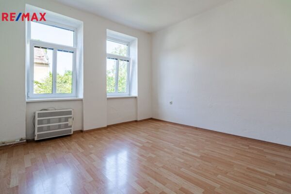 REMAX Delux