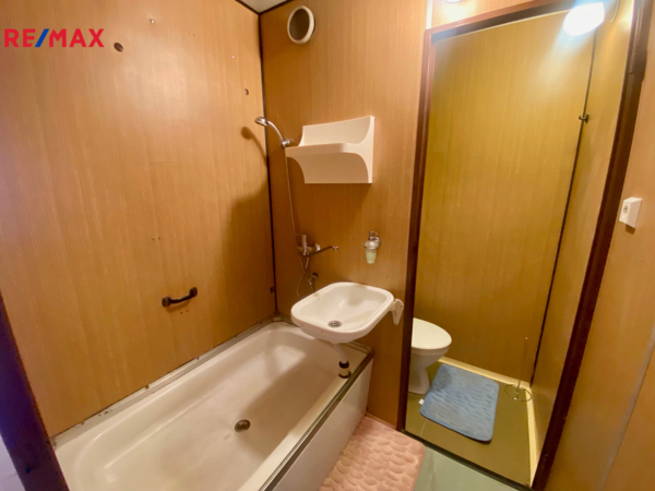 REMAX Brno