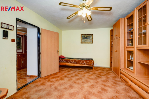 REMAX Delux