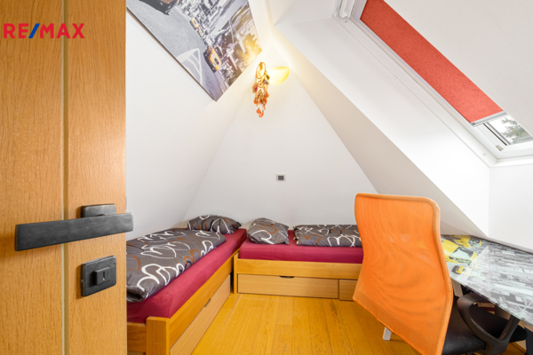 REMAX Delux