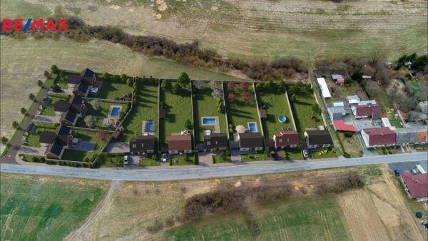 REMAX Delux