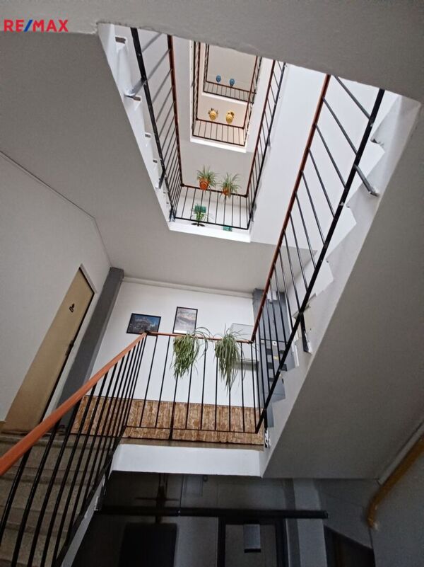 REMAX Delux