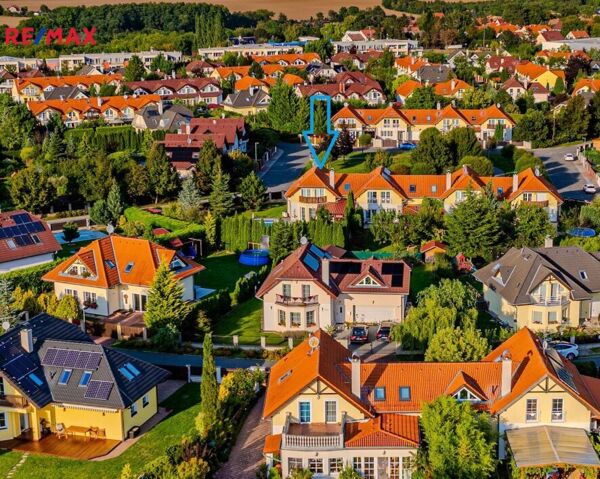 REMAX Delux