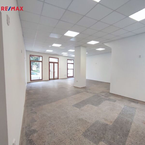 REMAX Brno