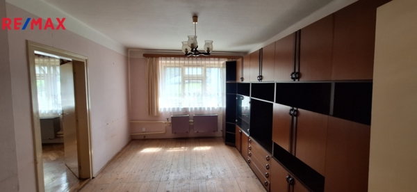 REMAX Delux