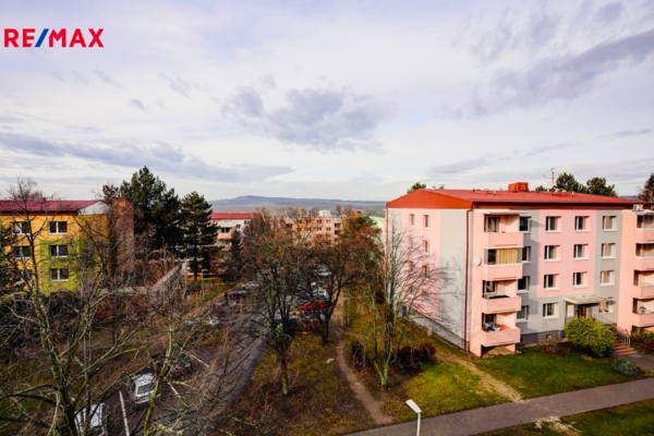 REMAX Delux