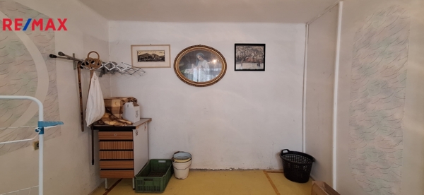 2951776.jpg