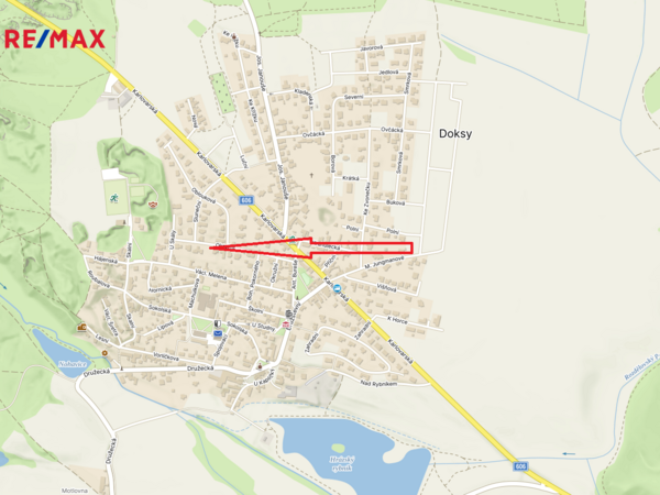 REMAX Delux