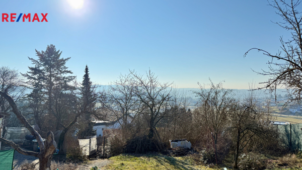 REMAX Delux