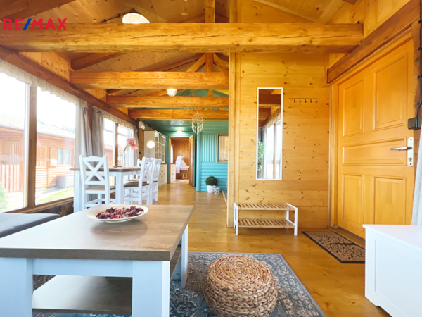REMAX Delux