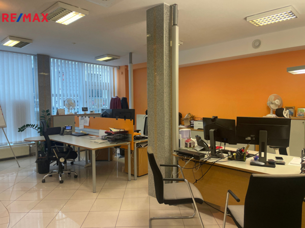 REMAX Delux