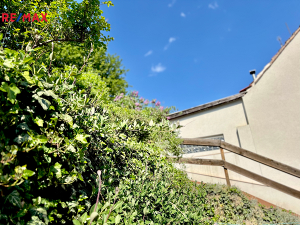 REMAX Delux