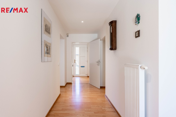 REMAX Delux