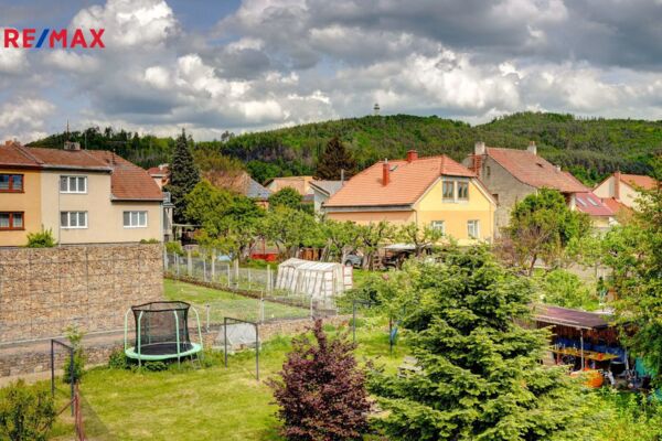 REMAX Delux