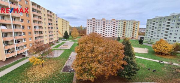 2806758.jpg