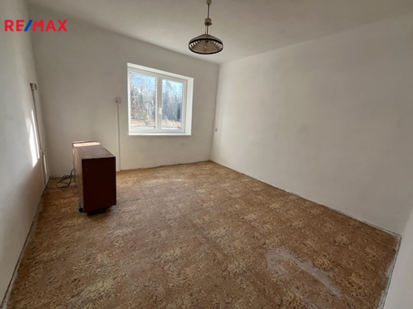 REMAX Delux