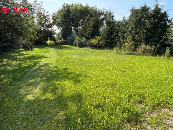 REMAX Brno
