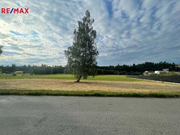 1911080.jpg