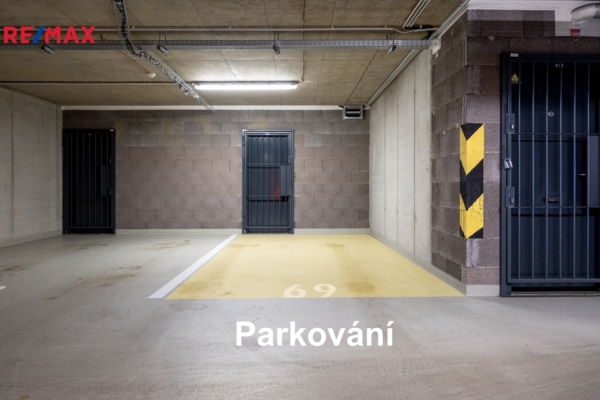 2916819.jpg