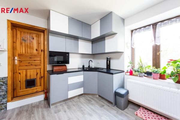 REMAX Brno