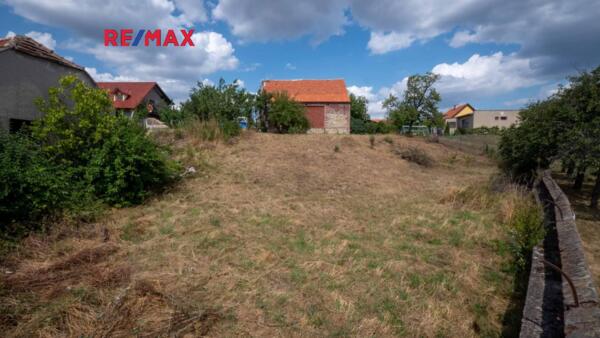 REMAX Delux