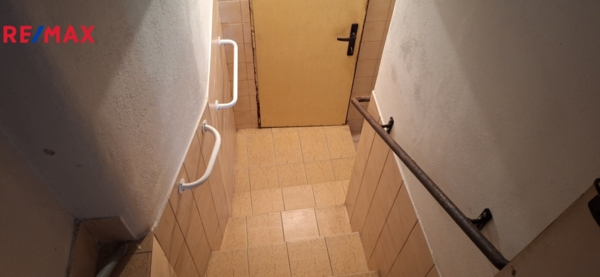 2925938.jpg