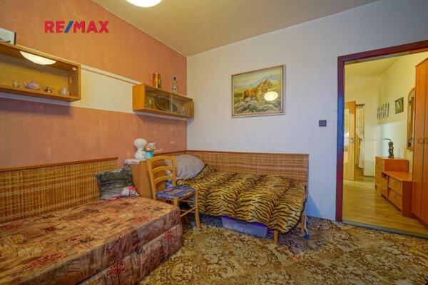 REMAX Delux