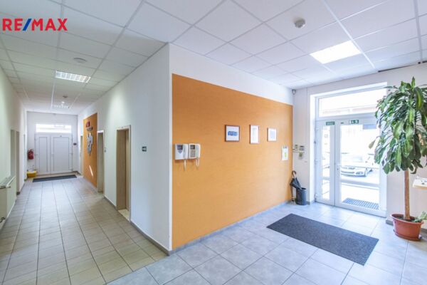 REMAX Brno