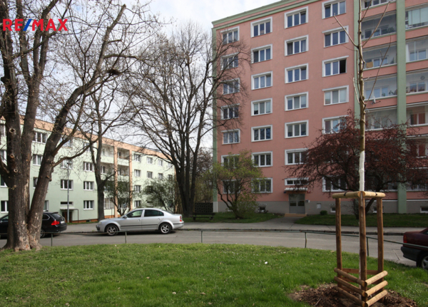 2762011.jpg