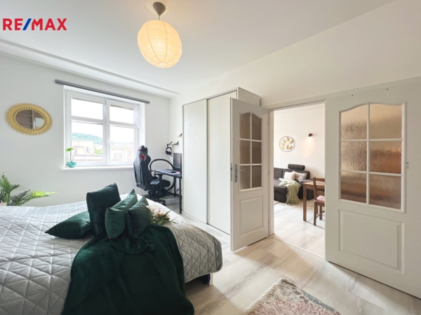 REMAX Delux