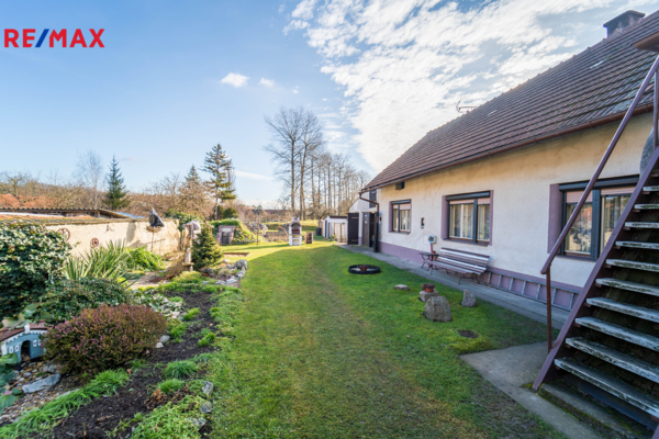 REMAX Delux