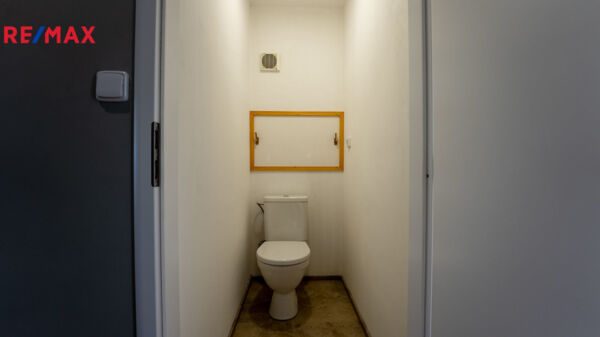 2262964.jpg
