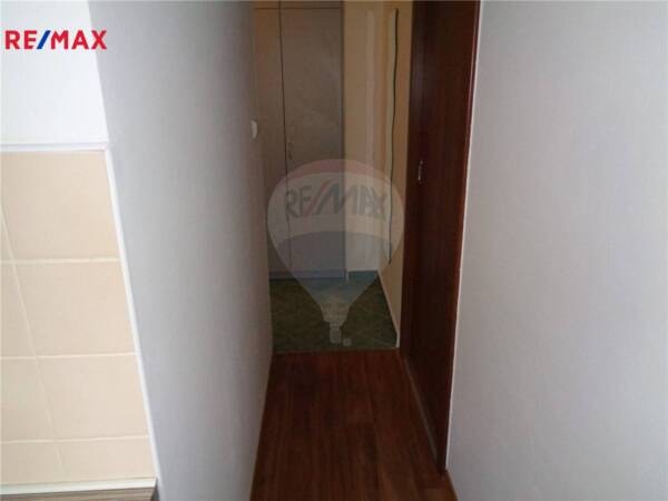 REMAX Delux