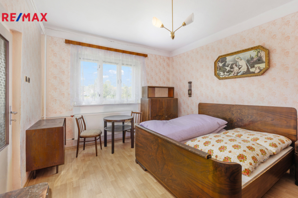 REMAX Delux