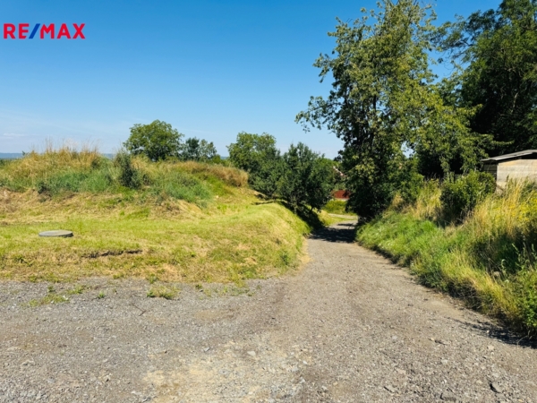 REMAX Delux