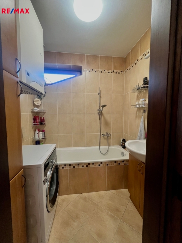 REMAX Delux