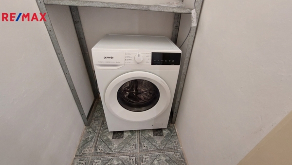 2945837.jpg