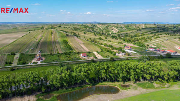 REMAX Delux