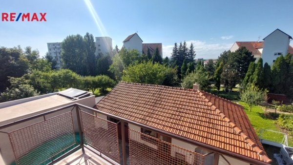 2945840.jpg