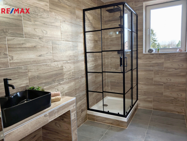 REMAX Delux