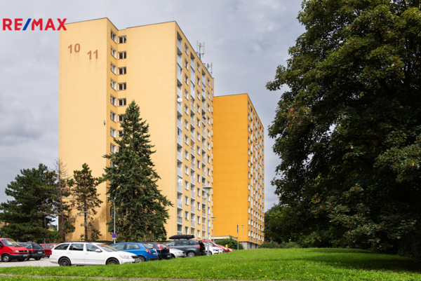 2933390.jpg
