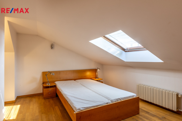 REMAX Delux