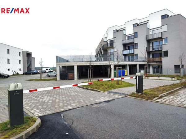 REMAX Delux