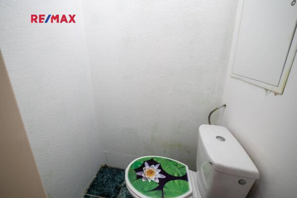 P1650499.jpg