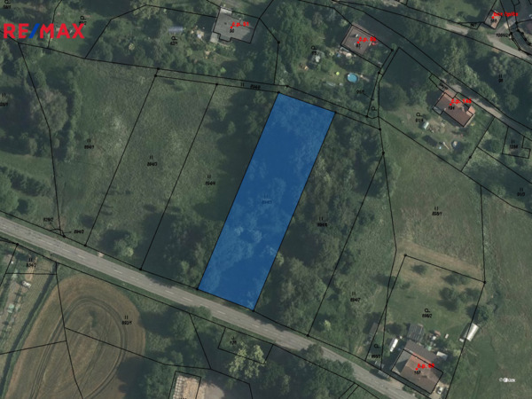 2785171.jpg