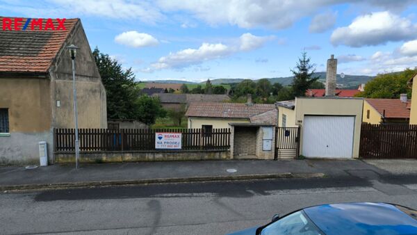 REMAX Delux
